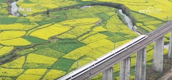 
医学科学院皮肤病医院黄牛号贩子票贩子代网上预约代挂号电话清明假期火车票今起发售 铁路部门“上新”满足旺盛出游需求