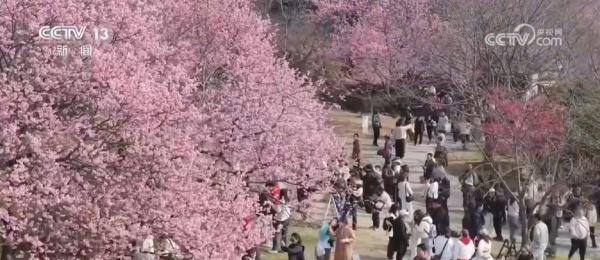 
医学科学院皮肤病医院黄牛号贩子票贩子代网上预约代挂号电话清明假期火车票今起发售 铁路部门“上新”满足旺盛出游需求