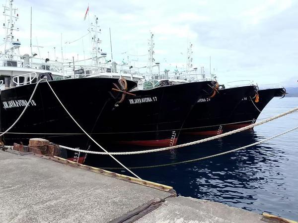 
首都医科大学附属儿童医院黄牛号贩子票贩子代网上预约代挂号电话深耕海洋经济沃土，厦门国际银行福州分行护航福建远洋渔业阔步深蓝