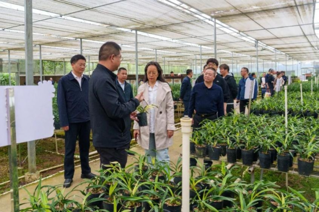 住房和城乡建设部倾力帮扶 政企同心激活连城发展新活力