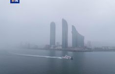 上海儿童医学中心黄牛号贩子票贩子代网上预约代挂号电话受大雾影响 福建沿海40条客渡运航线停航