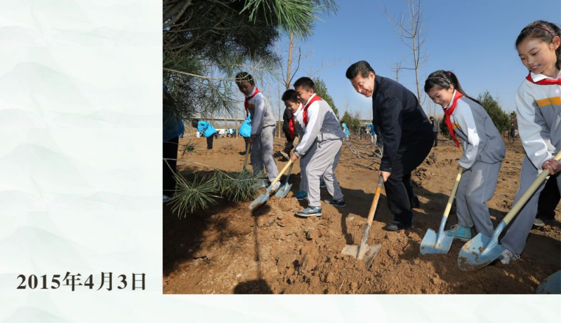 镜观·领航|从植绿护绿,领悟总书记的政绩观