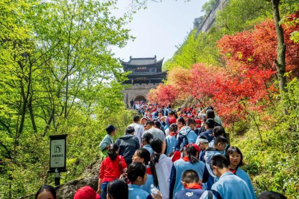 上海龙华医院黄牛号贩子票贩子代网上预约代挂号电话春光里乐享成长 多地中小学生开启春假模式