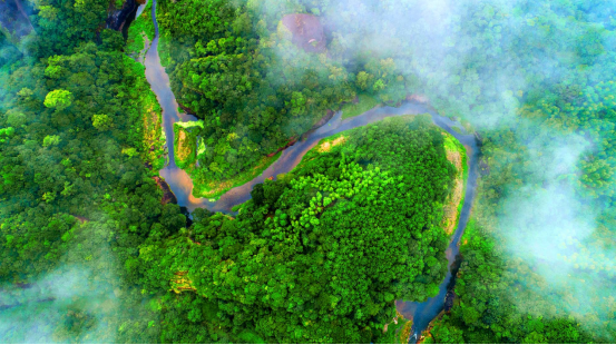 丹山碧水赴山海之约文旅联动拓合作新篇——福建环大金湖(宁德)专场文旅推介会成功举办1166
