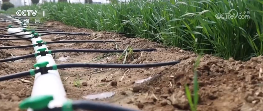 
上海同济医院黄牛号贩子票贩子代网上预约代挂号电话“新装备+新技术”力促春耕春管提质增效 夯实粮食丰产基础