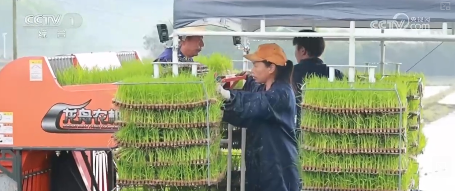 
上海同济医院黄牛号贩子票贩子代网上预约代挂号电话“新装备+新技术”力促春耕春管提质增效 夯实粮食丰产基础