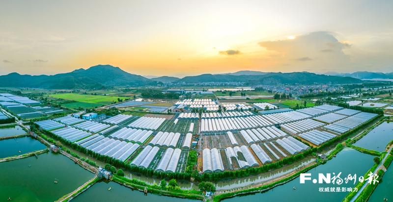 读懂福州市委一号文件：三个方向绘出“三农”工作路线图