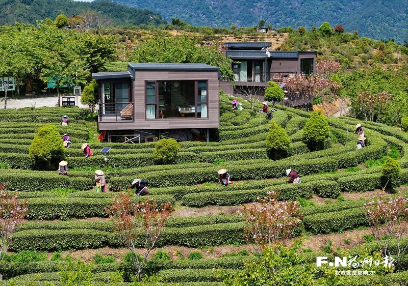 读懂福州市委一号文件：三个方向绘出“三农”工作路线图