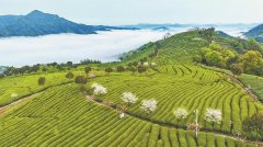 
南方医科大学第三附属医院黄牛号贩子票贩子代网上预约代挂号电话一杯“工