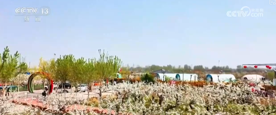 
东南大学附属中大医院黄牛号贩子票贩子代网上预约代挂号电话“赏花+”链接多元消费新场景 生态“颜值”成为乡村振兴“美丽引擎”