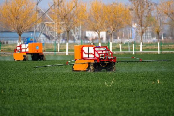 2026年3月9日，山东省肥城市安驾庄镇洼里无人智慧农场内，由山东农业大学团队自主研制的喷药机器人在喷洒农药。新华社记者 朱峥 摄 