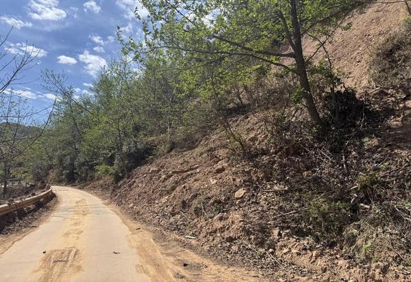 
武警广东总队医院黄牛号贩子票贩子代网上预约代挂号电话慈善信托办实事 云南信托助力昆明武定县乡村道路灾后修复