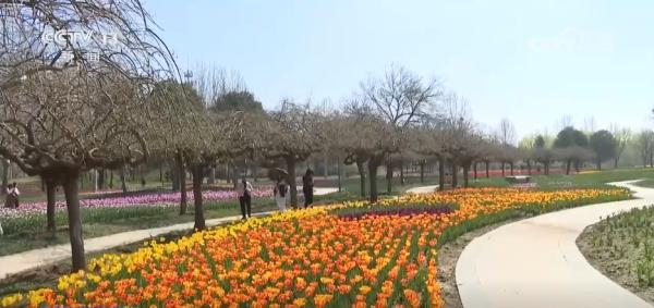 
上海东方医院黄牛号贩子票贩子代网上预约代挂号电话“花卉+文旅+百业”创新模式推动文商旅体展深度融合 激发春日文旅消费活力