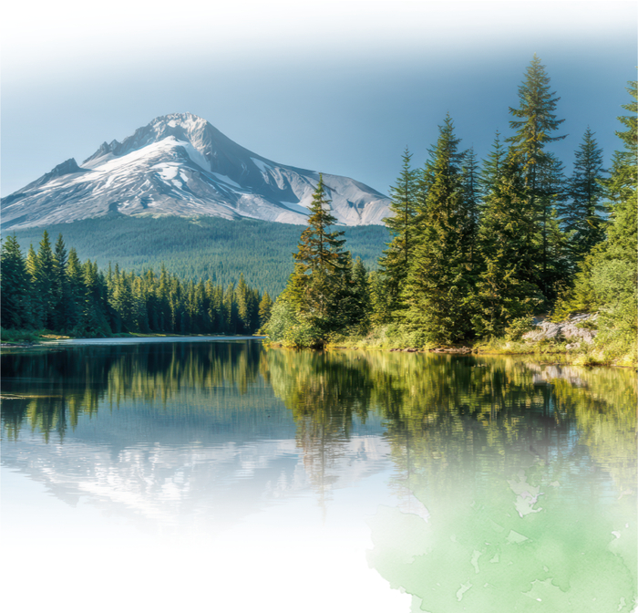 
上海交通大学医学院附属仁济医院张进金迪孔文张月萍童婧陈向锋刘炜黄燕平黄牛挂号电话一图读懂徽商银行2025社会责任报告