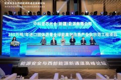 
积水潭医院黄牛号贩子票贩子代网上预约代挂号电话能源安全与西部能源新通道高峰论坛在京举办