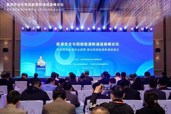 
积水潭医院黄牛号贩子票贩子代网上预约代挂号电话能源安全与西部能源新通道高峰论坛在京举办