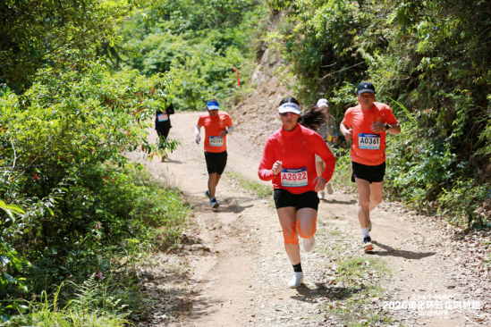 2026德化环云龙湖村跑暨山地挑战赛圆满举办 近2000名中外跑者畅跑瓷都山水(1)622