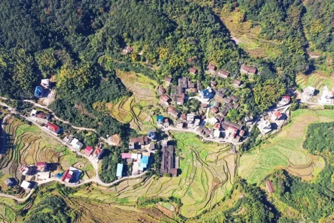 央媒看福建丨农民日报聚焦:“指间”管农田 “屏上”治乡村