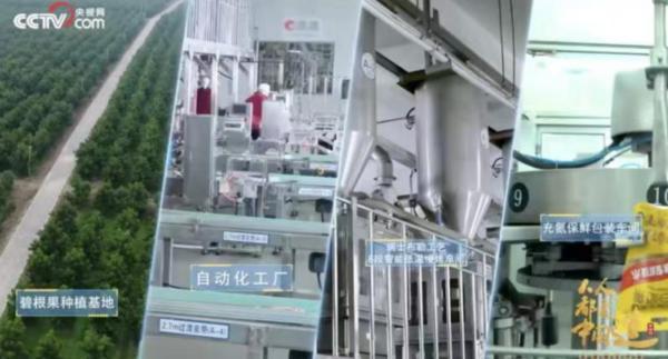 
天津医科大学总医院黄牛号贩子票贩子代网上预约代挂号电话洽洽交卷2025：跨界破圈、渠道革新，568亿品牌价值如何炼成