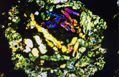 
中山大学孙逸仙纪念医院黄牛号贩子票贩子代网上预约代挂号电话我国科技人