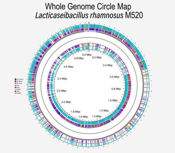 
上海交通大学医学院附属瑞金医院沈柏用郑民华胡佳佳黄晓琴赵卫国平刘伟黄牛挂号电话科学守护肠道健康：万益蓝自研专利菌株GOLDGUT-M520亮相消化学术年会 开启IBS干预新路径