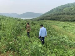 
北京首都医科大学附属北京儿童医院闫慧敏姚远柳静潘宇琛黄牛挂号电话在分期乐普惠的帮助下，70亩吴茱萸熬过丰收前夜