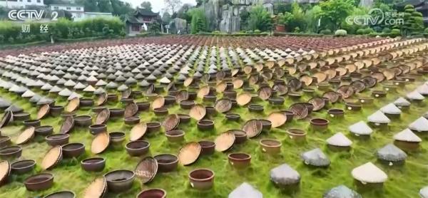 
世纪坛医院黄牛号贩子票贩子代网上预约代挂号电话“小城游”热度持续攀升、出入境旅游双向升温 “五一”文旅市场蓄势待发