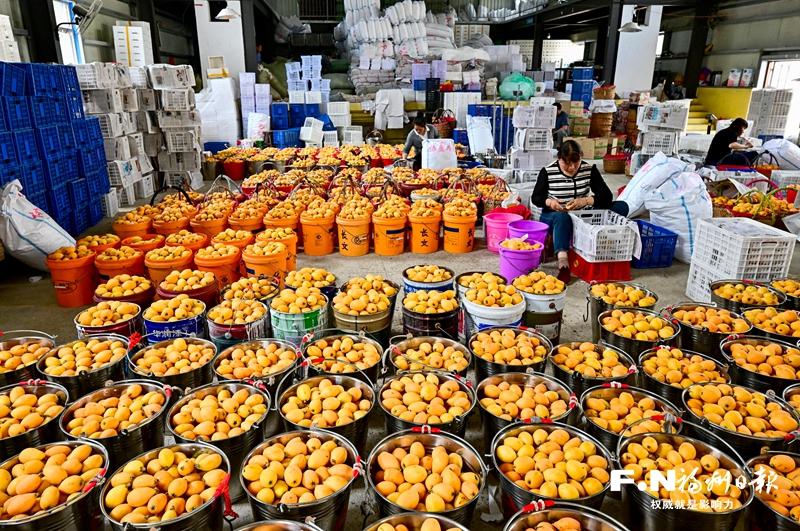 山海“双拼”，“特色菜”端上来——福州践行大食物观交出生动答卷