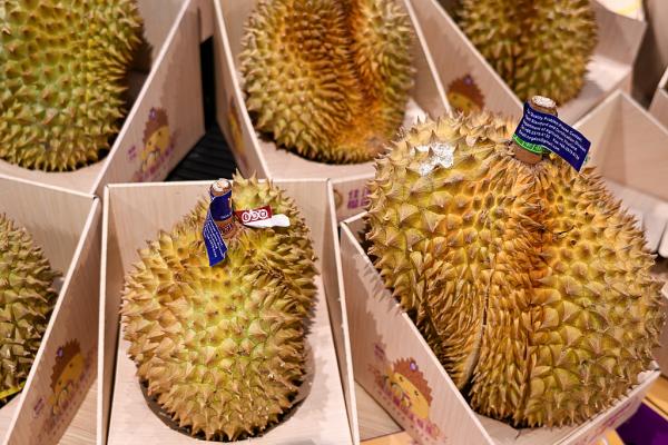 
浙江大学医学附属妇产科医院金杭美陈丹青白晓霞黄牛挂号电话又一批泰国榴莲到了！将送至成都、广州、上海等全国30多个城市