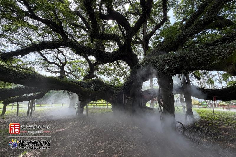 “五一”逛公园景区 “小而美”解锁榕城慢生活