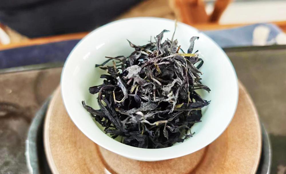 一株“紫绮”的诞生 茶科技为产业带来“紫色变量”