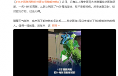 
广东省第二中医院黄牛号贩子票贩子代网上预约代挂号电话14岁男孩网购竹叶青当宠物被咬伤 所幸送医及时已无大碍