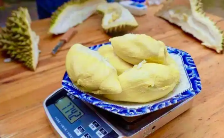 “榴莲自由”，真的要来了