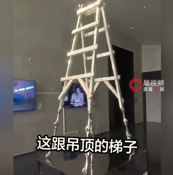 “梯子”艺术品被质疑就是普通梯子 成都美术馆回应