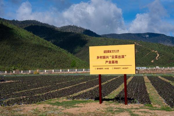北大口腔医院黄牛号贩子票贩子代网上预约代挂号电话带动销售破6亿!巴奴 “云菜出滇” 乡村振兴产业基地落地香格里拉