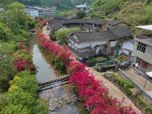 
上海新华医院黄牛号贩子票贩子代网上预约代挂号电话新建村里看变迁