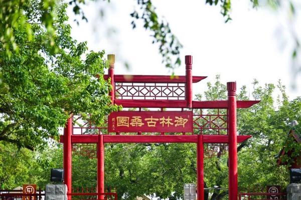 
江苏省中医院黄牛号贩子票贩子代网上预约代挂号电话央视一套《山水间的家》走进北京大兴安定镇 探寻京南小镇的独特魅力