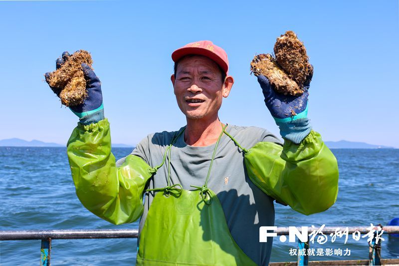 连江定海：一粒生蚝“长”出千万产值