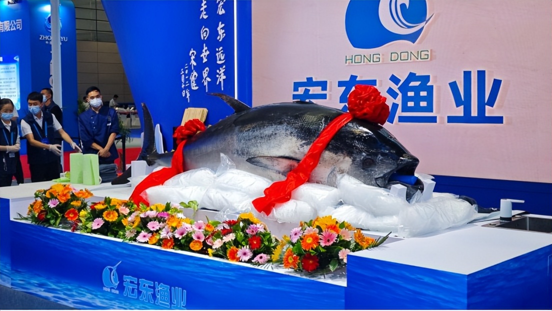 开鱼秀、火锅宴、全球鲜！2026福州渔博会来了