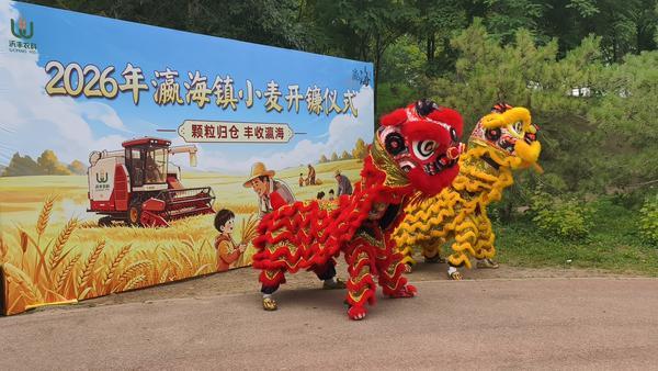 
北京宣武医院陈飞李海峰林华张鸿祺吴浩王硕张东刘鹏黄牛挂号电话麦浪飘香迎丰收！2026北京大兴瀛海开镰仪式圆满启幕