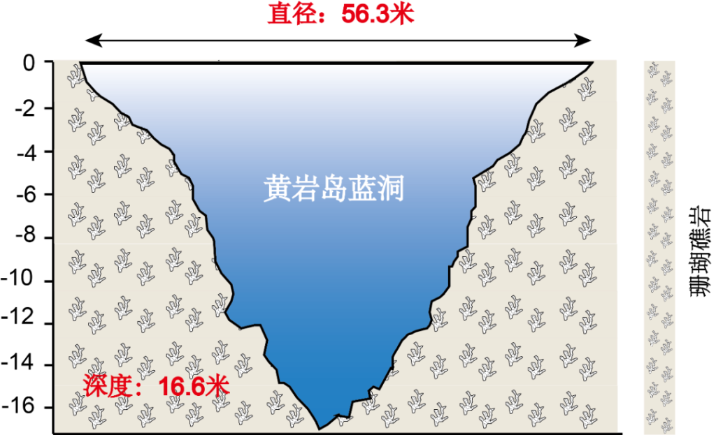 我国首次发现世界罕见的珊瑚礁蓝洞